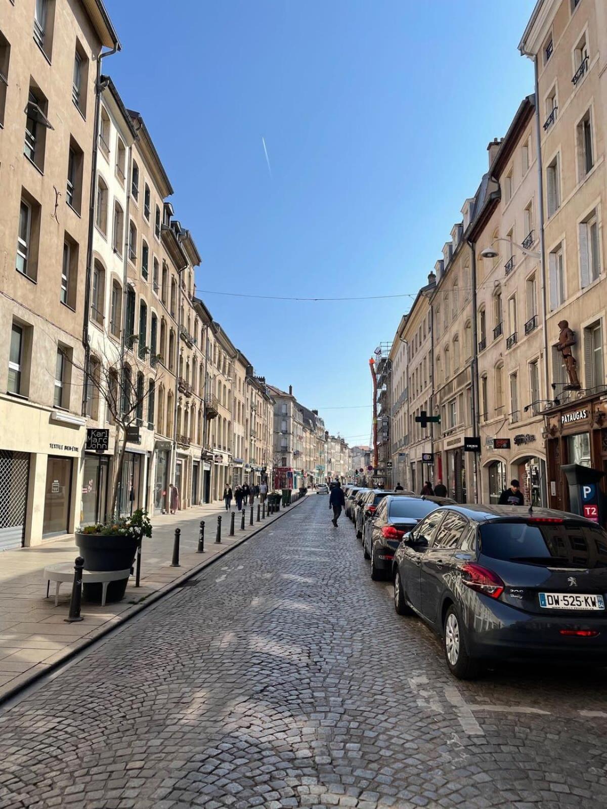 Le Dominicains Appartement Au Calme Aux Portes De La Place Stanislas Nancy Esterno foto